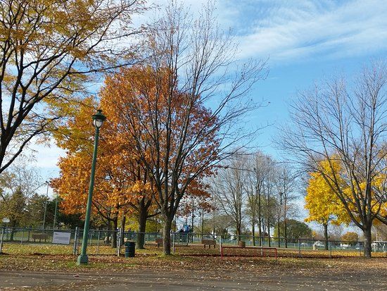 Parc Saint-Martin