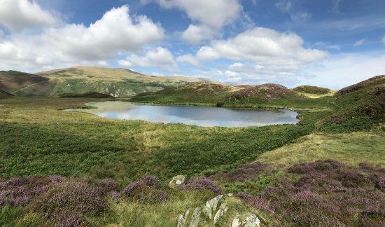 Llyn Barfog