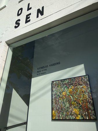 Tim Olsen Gallery