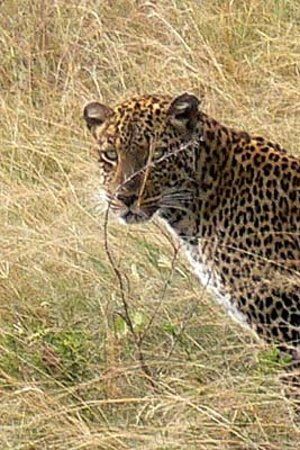 Ajai Game Reserve