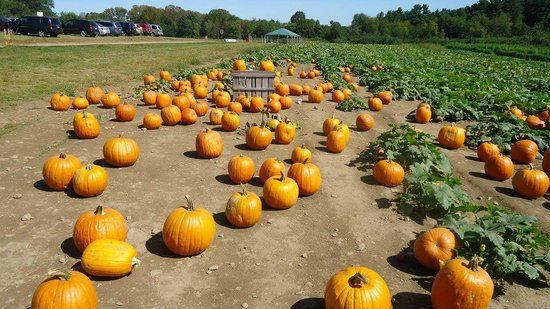 Applecrest Farm Orchards
