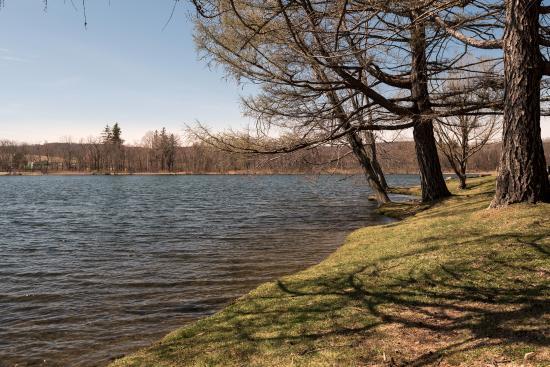 Rudd Pond Area